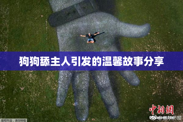 狗狗舔主人引发的温馨故事分享