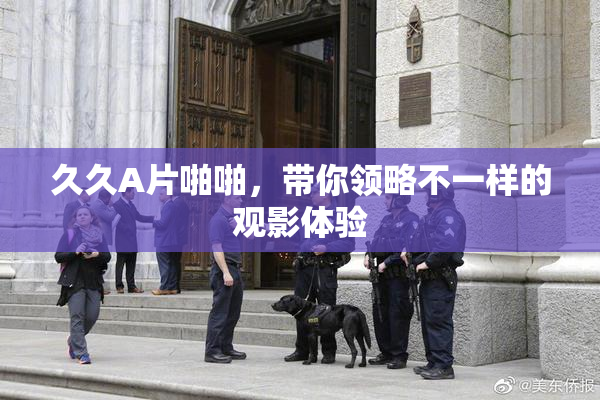 久久A片啪啪，带你领略不一样的观影体验