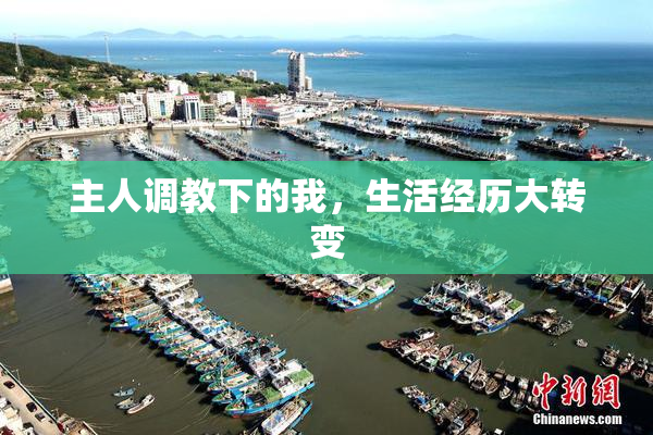 主人调教下的我，生活经历大转变