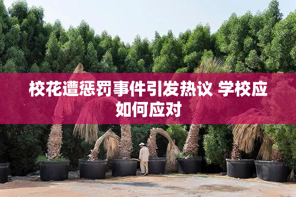 校花遭惩罚事件引发热议 学校应如何应对