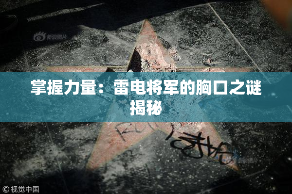 掌握力量：雷电将军的胸口之谜揭秘