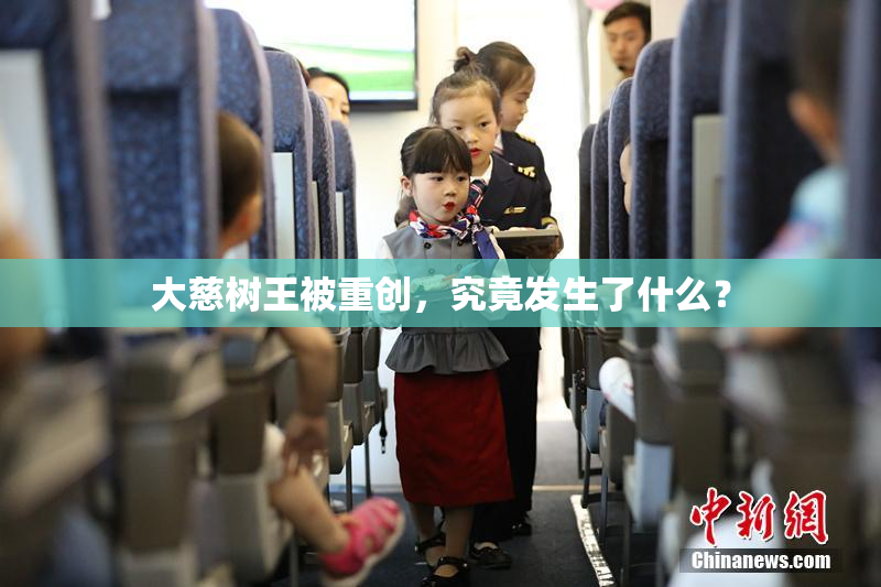 大慈树王被重创，究竟发生了什么？