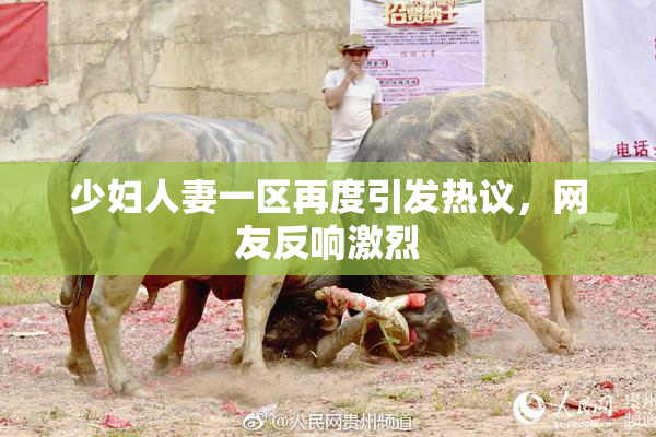 少妇人妻一区再度引发热议，网友反响激烈