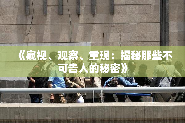 《窥视、观察、重现：揭秘那些不可告人的秘密》