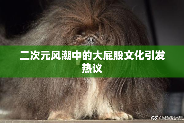 二次元风潮中的大屁股文化引发热议