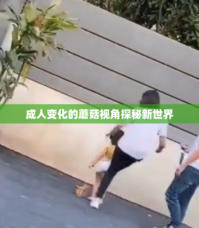 成人变化的蘑菇视角探秘新世界