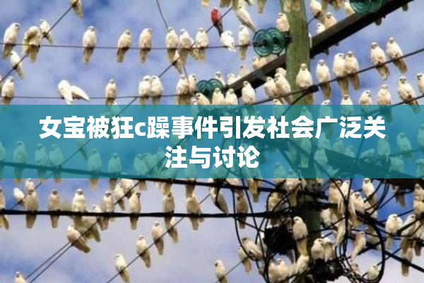 女宝被狂c躁事件引发社会广泛关注与讨论