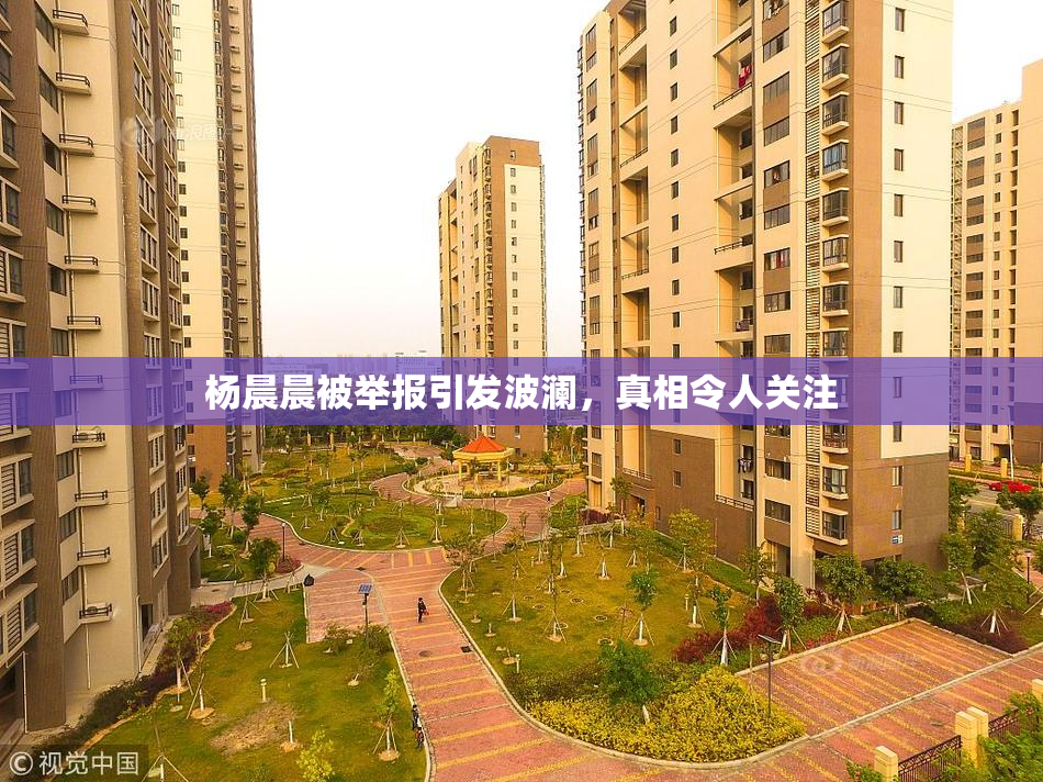 杨晨晨被举报引发波澜，真相令人关注