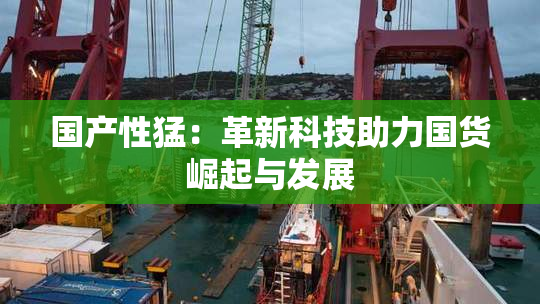 国产性猛：革新科技助力国货崛起与发展
