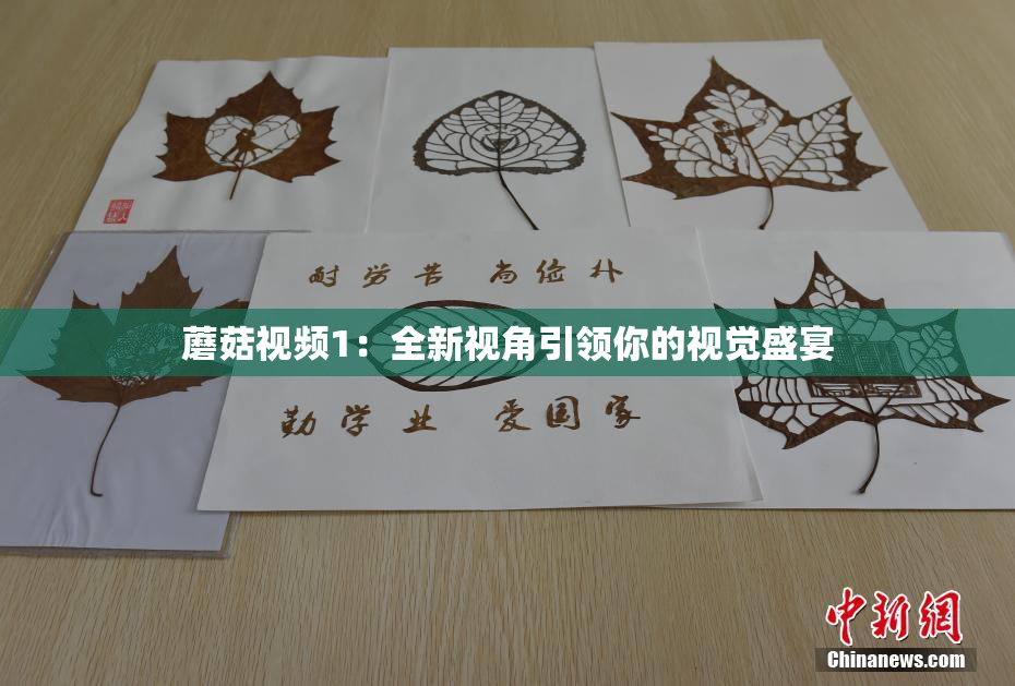 蘑菇视频1：全新视角引领你的视觉盛宴