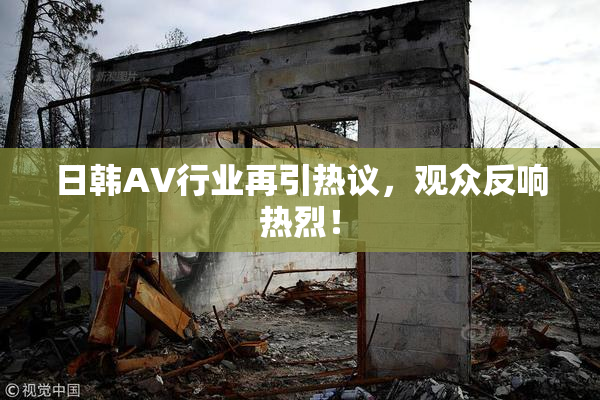 日韩AV行业再引热议，观众反响热烈！