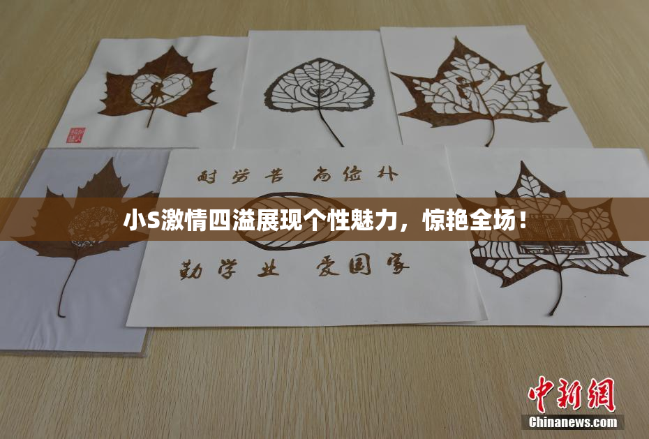 小S激情四溢展现个性魅力，惊艳全场！