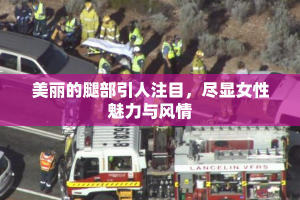 美丽的腿部引人注目，尽显女性魅力与风情