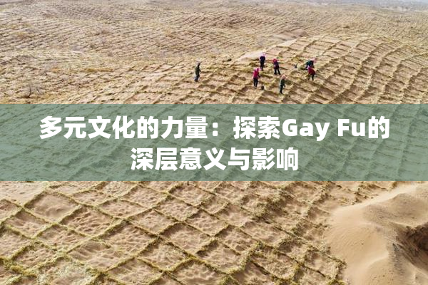 多元文化的力量：探索Gay Fu的深层意义与影响