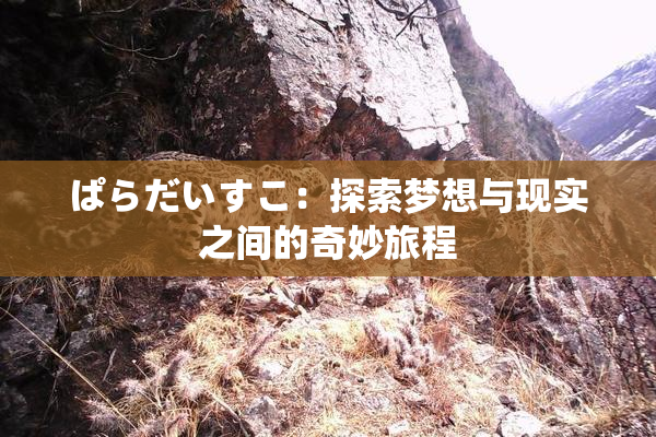ぱらだいすこ：探索梦想与现实之间的奇妙旅程
