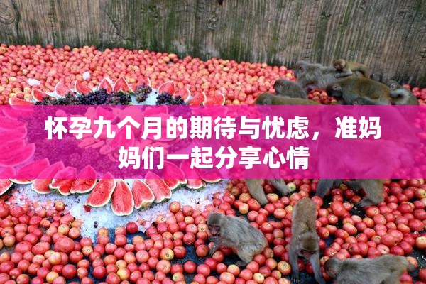 怀孕九个月的期待与忧虑，准妈妈们一起分享心情