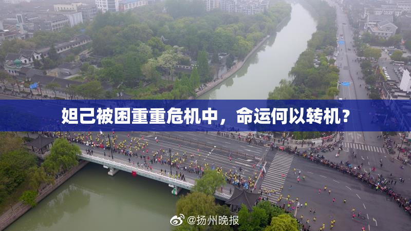 妲己被困重重危机中，命运何以转机？