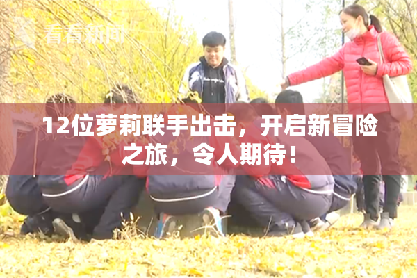 12位萝莉联手出击，开启新冒险之旅，令人期待！