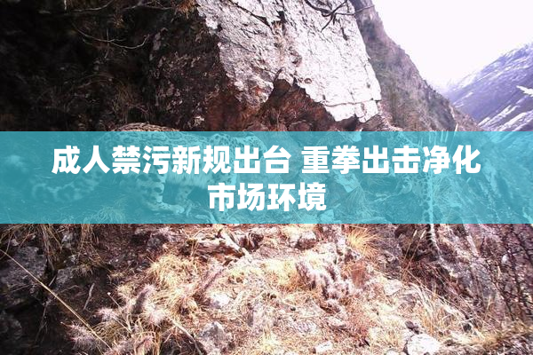 成人禁污新规出台 重拳出击净化市场环境