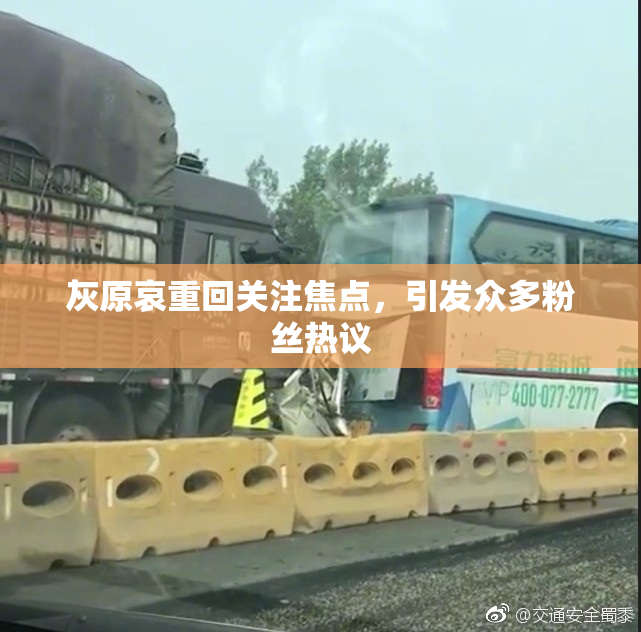 灰原哀重回关注焦点，引发众多粉丝热议