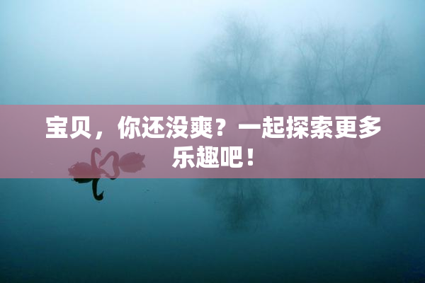 宝贝，你还没爽？一起探索更多乐趣吧！