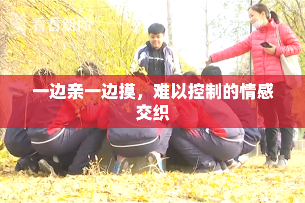 一边亲一边摸，难以控制的情感交织