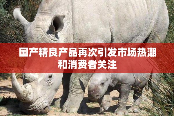 国产精良产品再次引发市场热潮和消费者关注