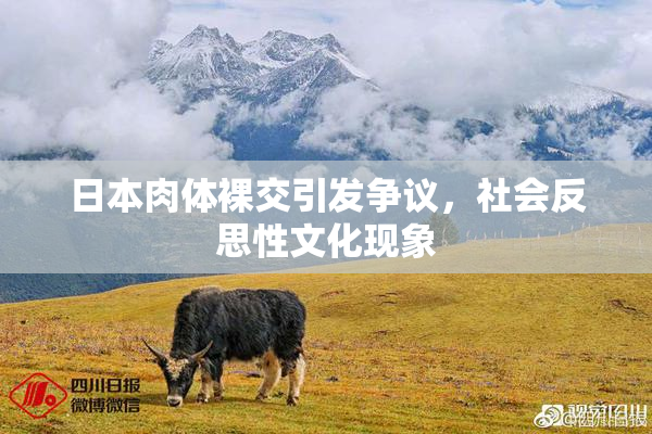 日本肉体裸交引发争议，社会反思性文化现象
