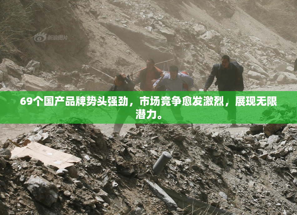 69个国产品牌势头强劲，市场竞争愈发激烈，展现无限潜力。