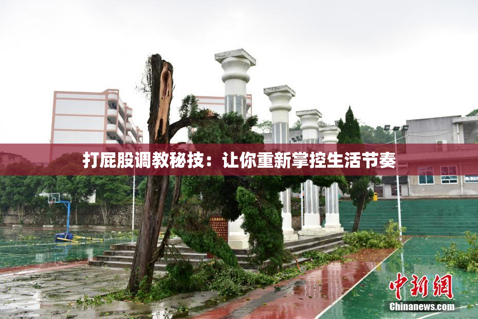 打屁股调教秘技：让你重新掌控生活节奏