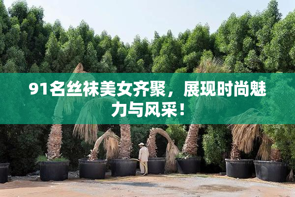 91名丝袜美女齐聚，展现时尚魅力与风采！