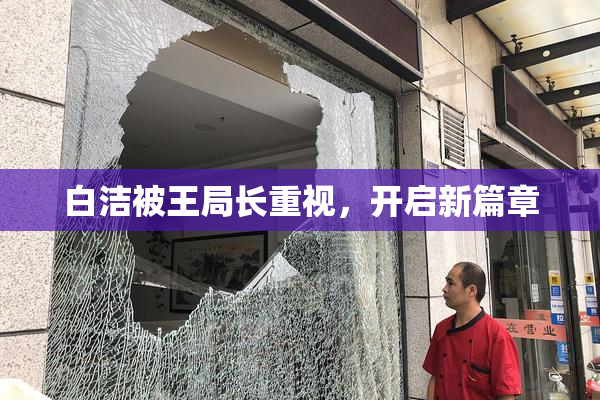 白洁被王局长重视，开启新篇章