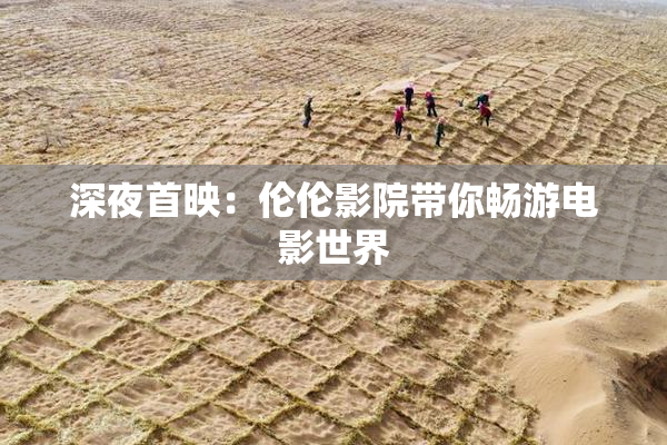 深夜首映：伦伦影院带你畅游电影世界