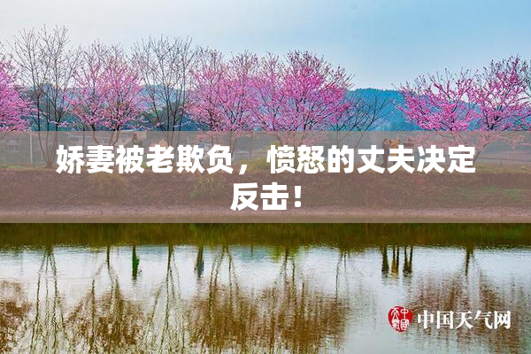 娇妻被老欺负，愤怒的丈夫决定反击！