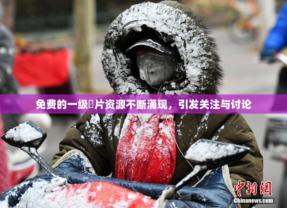 免费的一级婬片资源不断涌现，引发关注与讨论