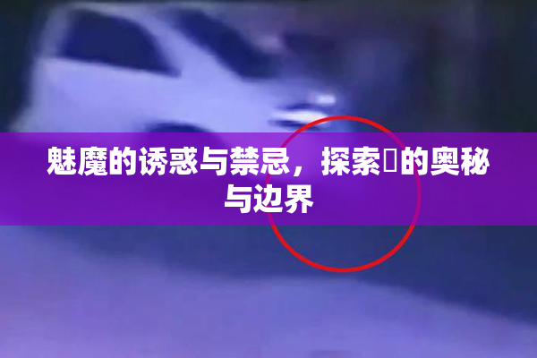 魅魔的诱惑与禁忌，探索婬的奥秘与边界