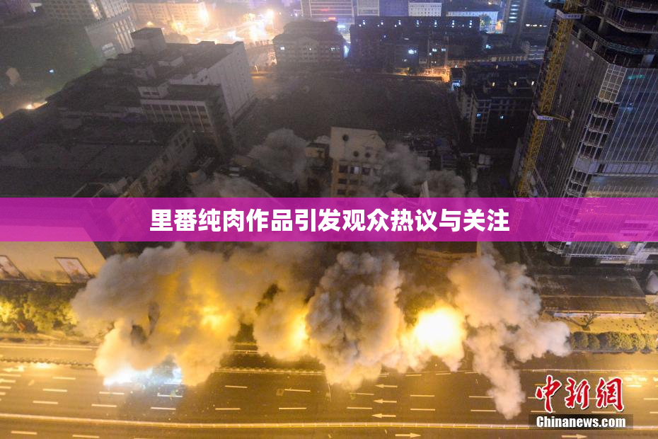里番纯肉作品引发观众热议与关注