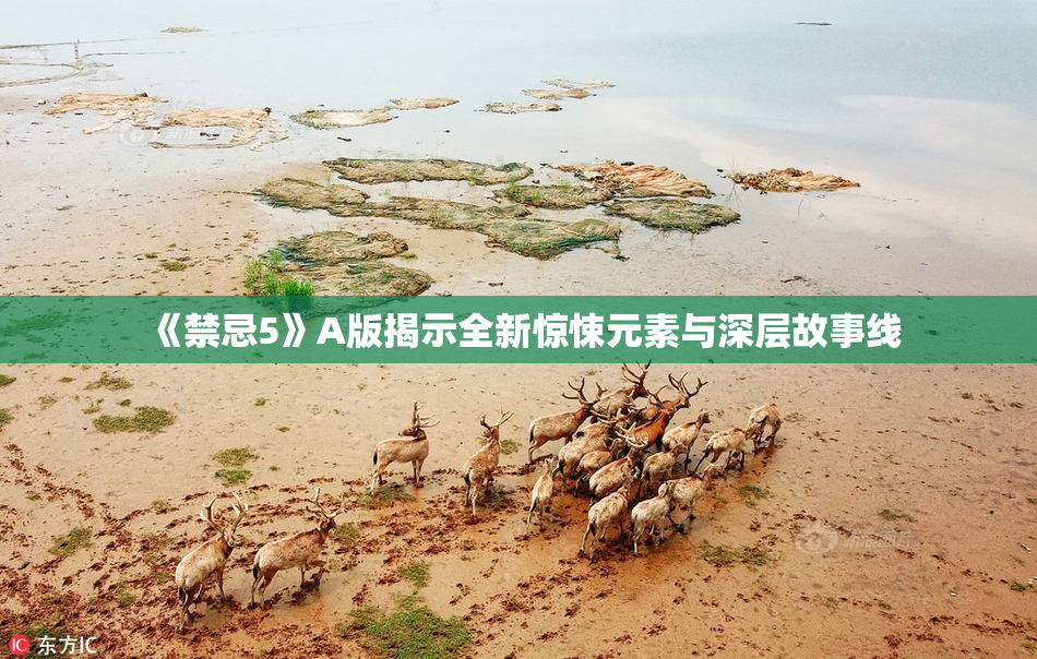 《禁忌5》A版揭示全新惊悚元素与深层故事线