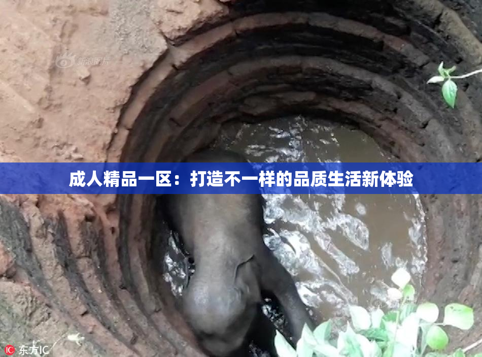 成人精品一区：打造不一样的品质生活新体验