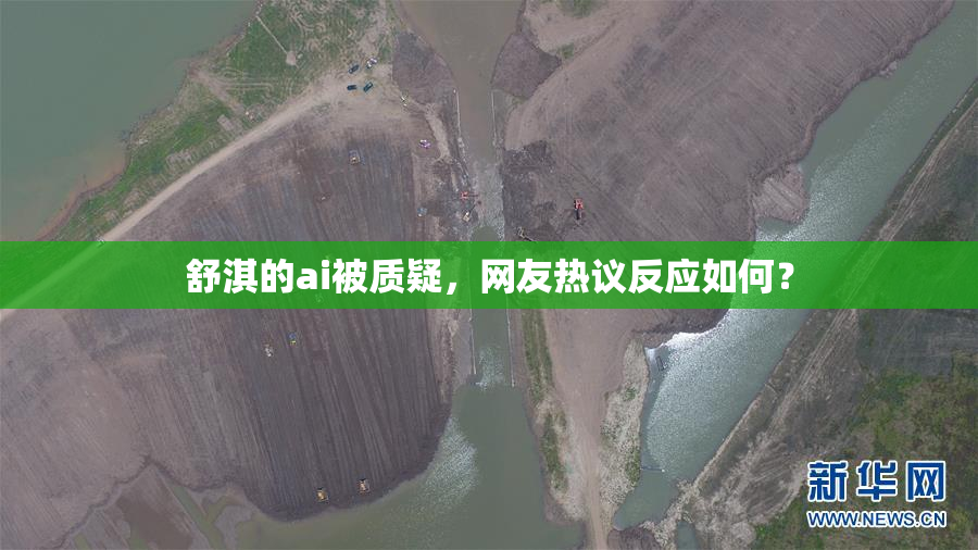 舒淇的ai被质疑，网友热议反应如何？