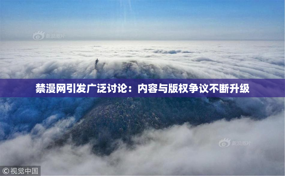禁漫网引发广泛讨论：内容与版权争议不断升级