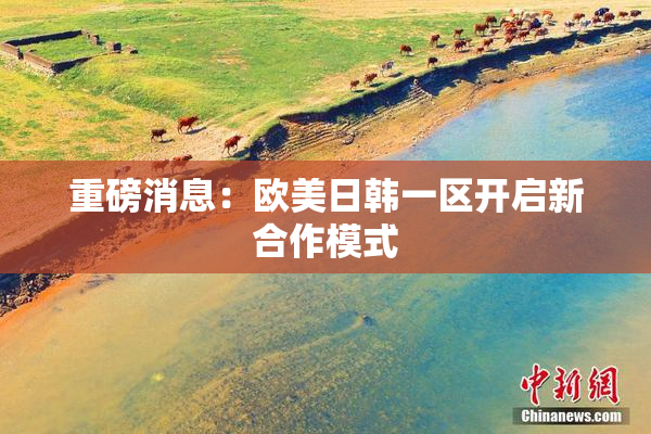 重磅消息：欧美日韩一区开启新合作模式