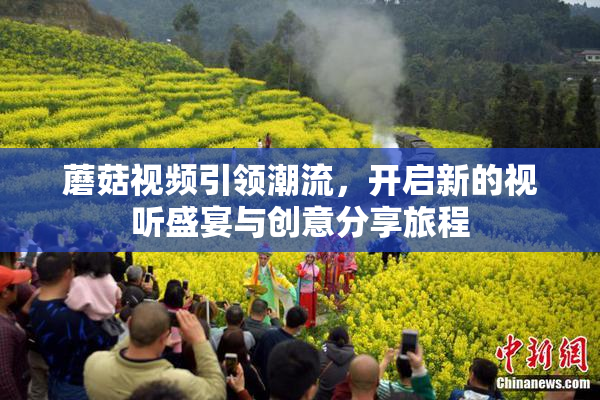 蘑菇视频引领潮流，开启新的视听盛宴与创意分享旅程