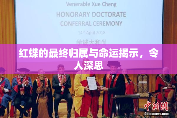 红蝶的最终归属与命运揭示，令人深思