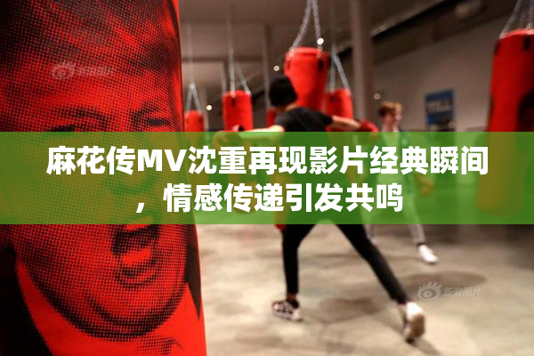麻花传MV沈重再现影片经典瞬间，情感传递引发共鸣