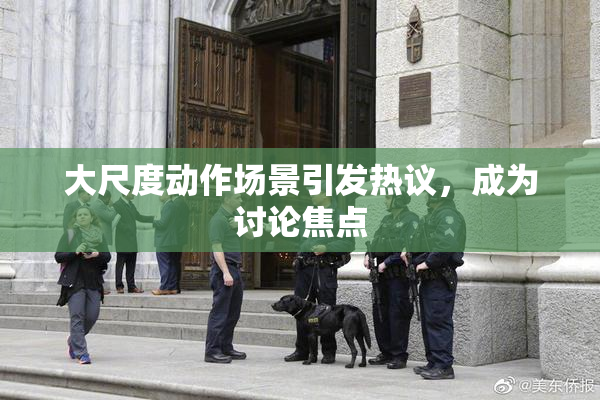 大尺度动作场景引发热议，成为讨论焦点