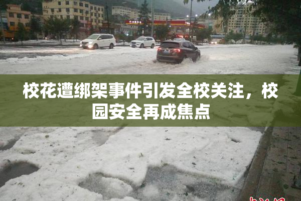 校花遭绑架事件引发全校关注，校园安全再成焦点
