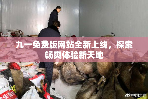九一免费版网站全新上线，探索畅爽体验新天地