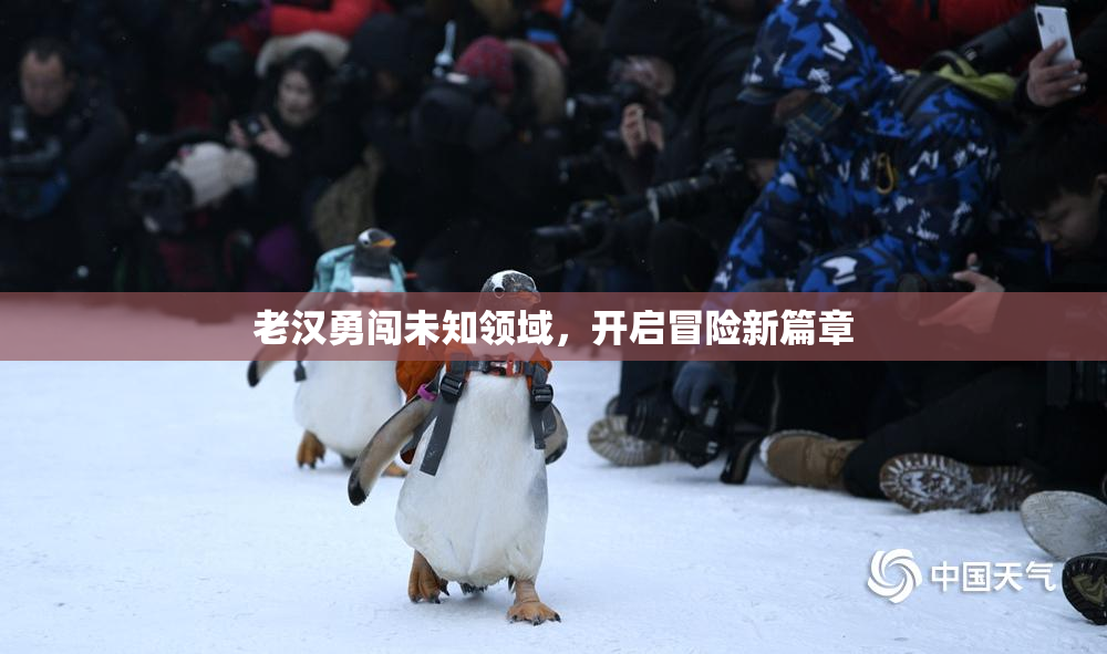 老汉勇闯未知领域，开启冒险新篇章