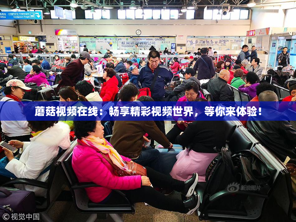 蘑菇视频在线：畅享精彩视频世界，等你来体验！